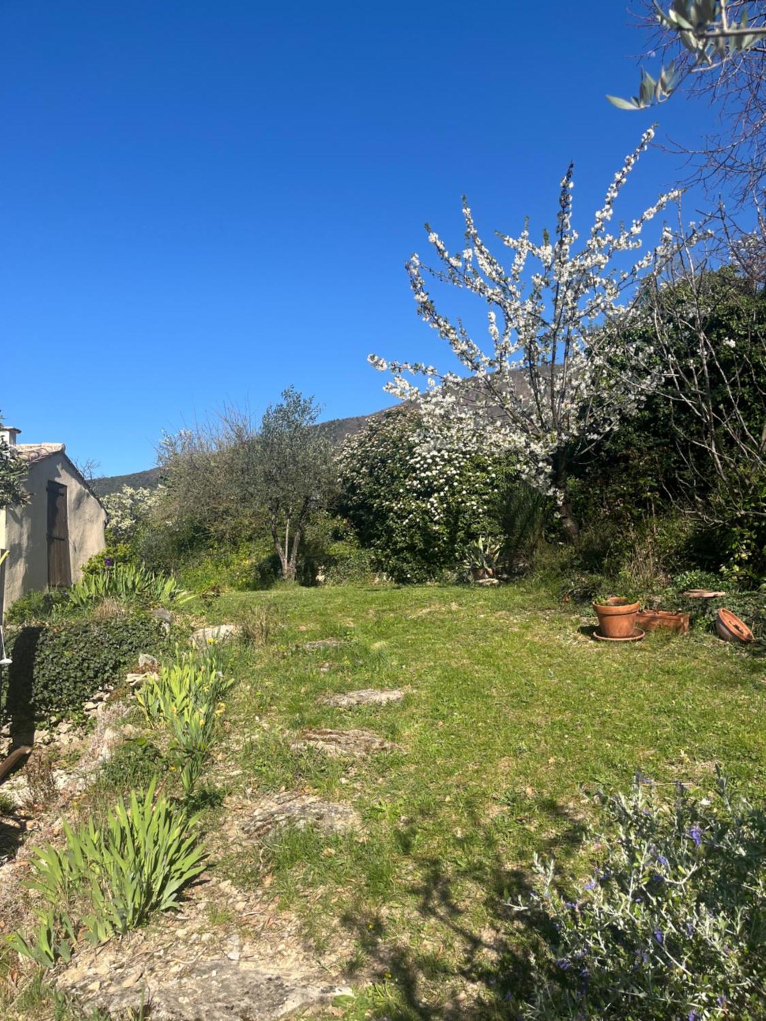 Cabanon Entoure De Montagnes Et D'Oliviers Villa Nyons Exteriör bild